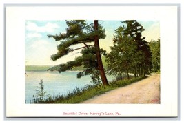 Beautiful Drive Along Harvey&#39;s Lake Pennsylvania PA UNP DB Postcard T2 - £5.39 GBP