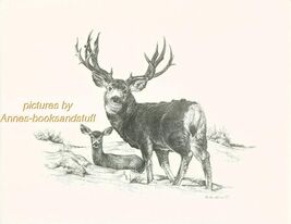 #149 MULE DEER * wildlife  art print *  pen &amp; ink drawing by Jan Jellins - $12.50