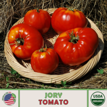 Jory Tomato Seeds, Organic, Open-Pollinated, Non-GMO 10  Seeds - £9.42 GBP
