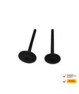 NEW Exhaust Valve &amp; Intake For Yamaha TTR110 TTR 110 - $26.86 CAD