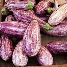 Eggplant tigrana seeds - code 024 - £3.94 GBP