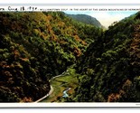 Williamstown Gulf Green Mountains Vermont VT UNP WB Postcard U1 - $2.92
