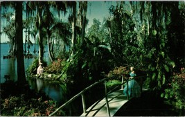 Tropical Vegetation in FLA Cypress Gardens Florida  Vintage Postcard  (D7) - £3.88 GBP