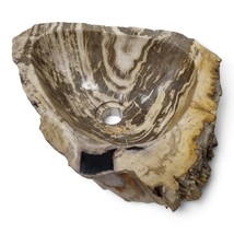 Wash Basin Fossilized Wood Natural Stone Attachment Washbowl Bath Braun ... - $556.28