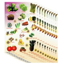 A73 VALUEPACK 10X Vegetable Aspargus Salat Kindergarten Sticker 27x18cm/10x7inch - £12.75 GBP