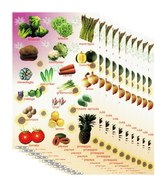 A73 VALUEPACK 10X Vegetable Aspargus Salat Kindergarten Sticker 27x18cm/... - £12.57 GBP