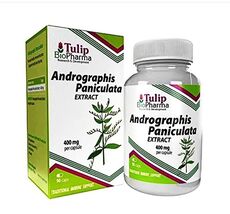 Andrographis Paniculata Extract 400mg 90 Veg Capsules | Immunity System ... - $22.99