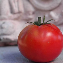 Ship From Us 50 Seeds - Ace 55 Tomato Seeds - NON-GMO, Heirloom Vegetable, TM11 - £13.00 GBP
