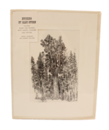 Alec Stern Etching Redwood Tree California Matted Excellent 15 X 12 Inches - $31.62 CAD
