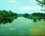 Haven Lake Landscape View Milford Delaware DE UNP Chrome Postcard A8 - $2.63