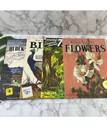 Walter Foster How To Draw Paint Vintage Art Book Lot of 4 60s Birds Tree... - €23,77 EUR