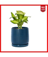 Modern 6 Inch Blue Ceramic Planter with Drainage Holes and Saucer Included - $63.34 CAD