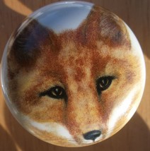 Cabinet Knobs  Fox Red  headshot Wildlife - £3.59 GBP