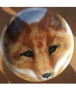 Cabinet Knobs  Fox Red  headshot Wildlife - $6.24 CAD