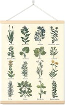 Vintage Herbs Posters Prints Botanical Wall Art Hanging Decor,, 16X22 Inch. - £23.32 GBP