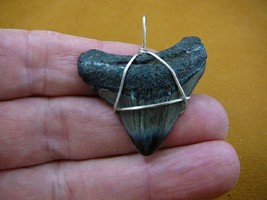 (S233-64) 1-3/4&quot; Fossil MEGALODON Shark Tooth Teeth silver wired pendant... - £36.56 GBP
