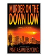 Murder on the down Low by Pamela Samuels Young (2008, Paperback) - $14.55 CAD