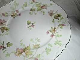 Hutschenreuther Selb Bavaria PASCO The Maple Leaf China Dinner Plate 9 7/8&quot; - $17.09