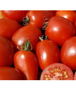 New Fresh 50 Seeds Amish Paste Tomato Juicy Vegetable Garden - $11.45