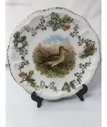 Antique PM Moschendorf Bavaria Game Bird Sandpiper Plate 9&quot; - $14.53