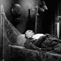 The Munsters Al Lewis as Grandpa asleep in his cobweb strewn bed 12x12 photo - £14.14 GBP