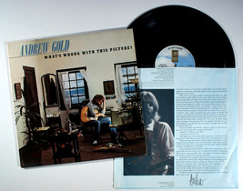 Andrew Gold - What&#39;s Wrong with This Picture (1976) Vinyl LP • Lonely Boy - $15.61