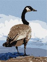 Pepita Needlepoint kit: Canada Goose, 9&quot; x 12&quot; - £63.94 GBP+