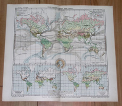 1901 Antique Map Of The World Vegetation America Africa Asia Oc EAN Currents - £12.70 GBP