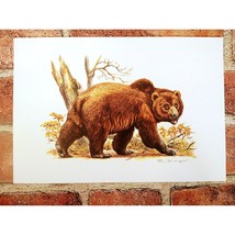 Brown Bear - R. Fieger - 1999 Vtg ART PRINT - 7&quot;x10&quot; - Unique Wall Decor - £11.90 GBP