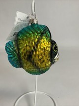 Christopher Radko Deep See Delight Yellow Tropical Fish Ornament - $24.74