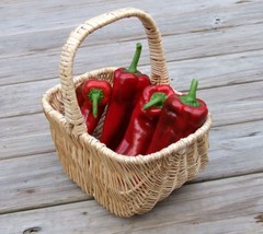 BPASTORE 60 Seeds Red Marconi Pepper Rossa Large Sweet Italian Frying Ca... - £7.36 GBP