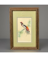 Vintage Feather Bird Art Framed Mid Century Colorful Nature Wall Hanging... - €28,13 EUR