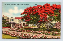 The Royal Poinciana Home Miami Florida FL Linen Postcard M4 - £2.37 GBP