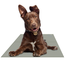 Chillz Non-Toxic Pet Cooling Gel Mat - £29.13 GBP