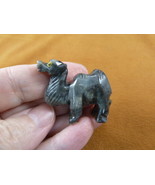 Y-CAM-30) gray CAMEL camels desert SOAPSTONE FIGURINE gemstone carving d... - $160.27 MXN