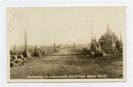 Driveway in Lemmon&#39;s Petrified Wood Park Real Photo Postcard South Dakota  - £22.15 GBP