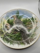 VINTAGE Game Birds of The South Mourning Dove Plate by Paintings of A.J.... - $14.01