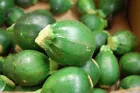 Round Zucchini Summer Squash Organic Non GMO-Open Pollinated 30Pcs - $6.99