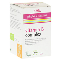 Gse Vitamin B Complex Organic Tablets 60 pcs - £54.52 GBP