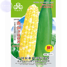 Super Sweet 2008 Sweet Yellow White Corn Seeds High Yield 100Grams Early Mature  - $27.24