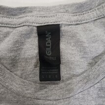 Gildan Softstyle Diamond Reapers Softball Men's Gray Graphic T-Shirt Size Large  image 5