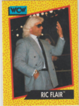 1991 WCW Legend The Nature Boy Ric Flair wwe,wwf,NWA,TNA Super star Wcw Card#37. - £3.07 GBP