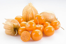 50 Seeds Yellow Tomatillo Tomato Juicy Vegetable New Fresh Seeds - $7.90