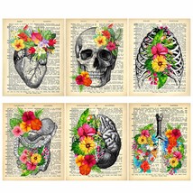 Unframed 8 X 10 Prints Of Vintage Anatomical Posters And Retro Floral Wall Decor - £30.09 GBP