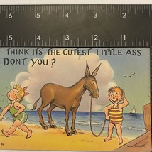Humor linen pc/cutest little ass/boy w/donkey watching girl strut by/beach - £3.53 GBP