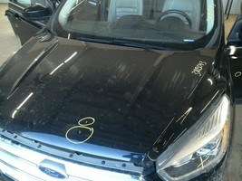 Hood Fits 17-19 ESCAPE 104810362 - $8,857.29 MXN