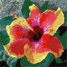 Pepita Needlepoint Canvas: Hibiscus Up Close, 10&quot; x 10&quot; - £62.27 GBP+
