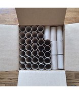 Empty Toilet Paper Rolls 147 Lot Clean Cardboard Tubes 4 ½” Project Art ... - £18.66 GBP