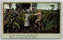 Farmer Sweet Love With His Lady In The Corn Field Postcard B35 - $6.95