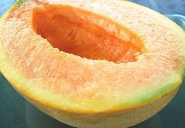 Fresh New Yubari Melon Fast Growing Sweet Tasting Farm Planting Garden 2... - £10.23 GBP